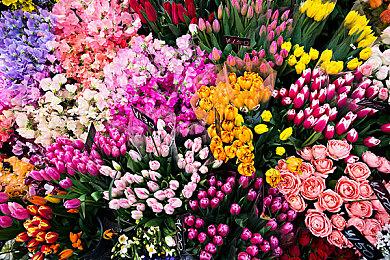 英雄联盟格斗游戏《2XKO》公布段位体系及封测阵容